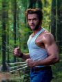 Wolverine 02.jpg